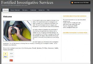 private Investigator tips